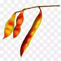 ��ʳƷ-����ɫ���㶹װ��ͼ��-������