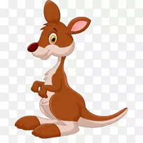 考拉澳大利亚袋鼠-考拉-空若网 考拉澳大利亚袋鼠-考拉-空若网