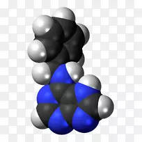 激素受体内分泌系统人体腺体-空若网 激素受体内分泌系统人体腺体-空若网