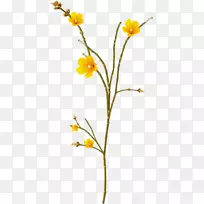 花卉设计叶夹艺术-花-空若网 花卉设计叶夹艺术-花-空若网