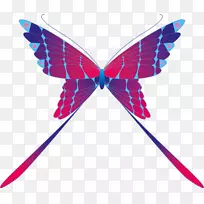 ��������괫�����޼�׵�������-������