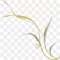 作者中心博客花卉剪贴画-空若网 作者中心博客花卉剪贴画-空若网