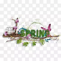 花卉设计薰衣草丁香花-空若网 花卉设计薰衣草丁香花-空若网