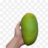 â��-����â��-������