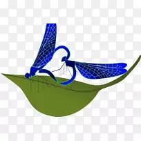 �������ѵ���ͼ�����������-������