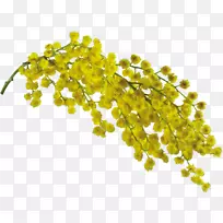 珠宝首饰设计三月八日-珠宝首饰-空若网 珠宝首饰设计三月八日-珠宝首饰-空若网