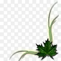 博客日记剪辑艺术-空若网 博客日记剪辑艺术-空若网