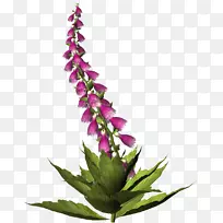 �л���Ƽ�����-������