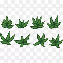 欧洲芦荟载体-载体芦荟-空若网 欧洲芦荟载体-载体芦荟-空若网