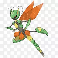 艺术昆虫蜂型传粉器-昆虫-空若网 艺术昆虫蜂型传粉器-昆虫-空若网