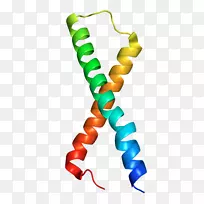 人体珠宝线剪贴画线-空若网 人体珠宝线剪贴画线-空若网