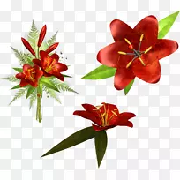 �ٺϻ�������-��-������