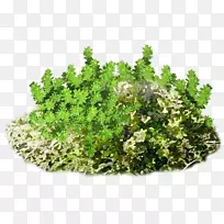 ���Ͷ����ݼ�����-������