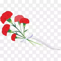 �л�����ܰ��԰õ��ֲ�ﻨ-������