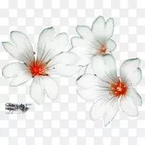 花园画-花卉-空若网 花园画-花卉-空若网