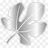 无花果叶树开花植物.无花果载体-空若网 无花果叶树开花植物.无花果载体-空若网