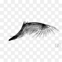 ��������-����PNG-������