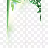 竹节-空若网 竹节-空若网