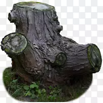 树干树桩-旧树桩实物材料-空若网 树干树桩-旧树桩实物材料-空若网