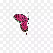 蝴蝶昆虫图标-昆虫-空若网 蝴蝶昆虫图标-昆虫-空若网