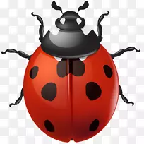 ư�������ֽ�������׳�-������