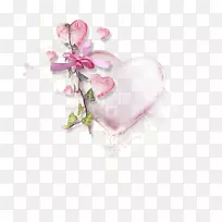 �������ʺ�-ϲ��-������