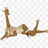 ë���׵����λ�������¹ë���׵Ķ���-������