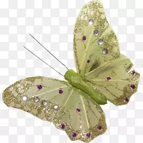 昆虫蝴蝶传粉器剪贴画-昆虫-空若网 昆虫蝴蝶传粉器剪贴画-昆虫-空若网