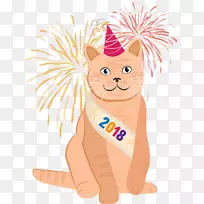 猫:碰撞竞技场,涡轮,明星,小猫,安卓-猫-空若网 猫:碰撞竞技场,涡轮,明星,小猫,安卓-猫-空若网