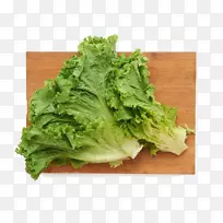 �����������߲�ʳƷ��������-������