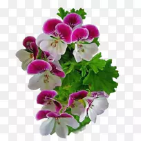 ����������������-������