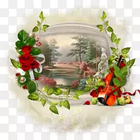 �ܾ������Ĳ���.����-��Ȼ֮��-������