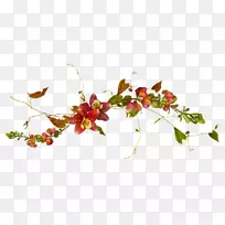 ����ֲ�ﻭ����-����-������