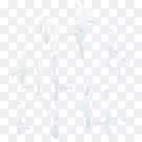 �����ֽ��������������-������