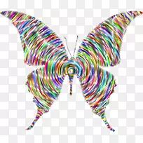 ºûµûÀ¥³æ-ºûµû-¿ÕÈôÍø ºûµûÀ¥³æ-ºûµû-¿ÕÈôÍø