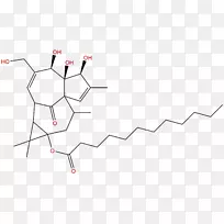 三角形圆面积-空若网 三角形圆面积-空若网