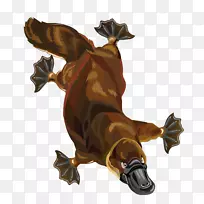 佩里鸭嘴兽剪贴画-空若网 佩里鸭嘴兽剪贴画-空若网