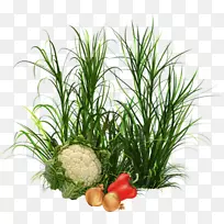 �滭������-�̲�-������