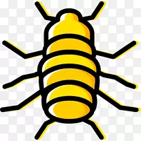 �����������������ͼ��-����-������