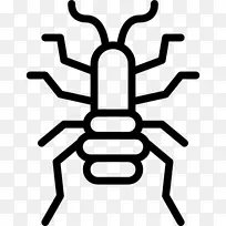 昆虫蚤虱夹艺术跳蚤-空若网 昆虫蚤虱夹艺术跳蚤-空若网