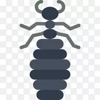 电脑图标昆虫剪贴画跳蚤-空若网 电脑图标昆虫剪贴画跳蚤-空若网