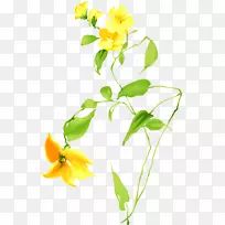 切花黄色植物剪贴画-空若网 切花黄色植物剪贴画-空若网