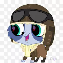 小猫宠物店-宠物店-空若网 小猫宠物店-宠物店-空若网