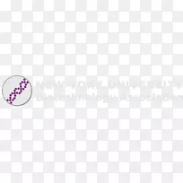 紫品牌-空若网 紫品牌-空若网