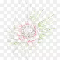 �л�������ƻ���ֲ��-����-������