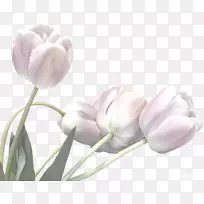 ���������������-�װٺ�-������