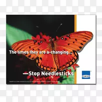 帝王蝴蝶昆虫若虫科授粉者-创意海报-空若网 帝王蝴蝶昆虫若虫科授粉者-创意海报-空若网