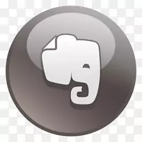 Evernote计算机图标-Evernote-空若网 Evernote计算机图标-Evernote-空若网