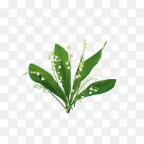 博客剪贴画-水彩画绿色绿叶月桂树-空若网 博客剪贴画-水彩画绿色绿叶月桂树-空若网