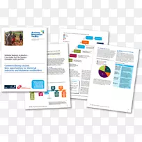 个案管理业务案例论文-h5业务封面-空若网 个案管理业务案例论文-h5业务封面-空若网